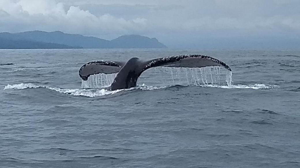 Safio. Una Casa En El Paraiso. Nuqui Bagian luar foto