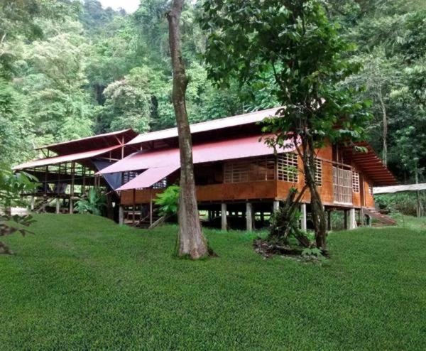 Safio. Una Casa En El Paraiso. Nuqui Bagian luar foto