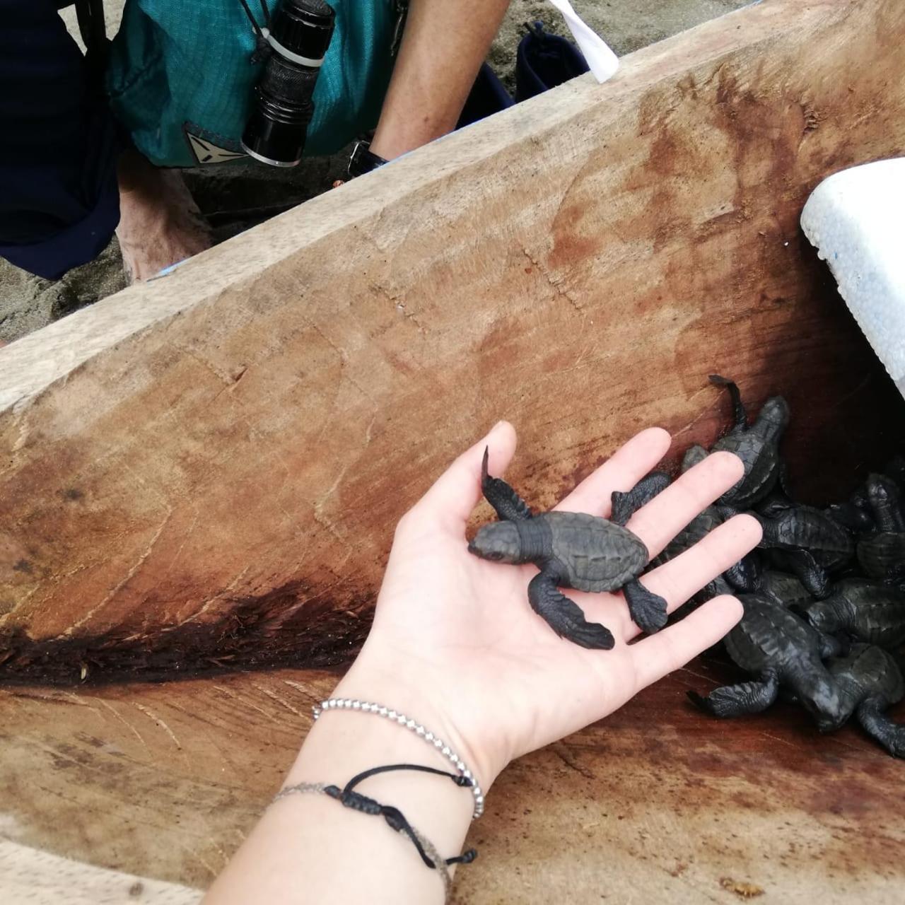Safio. Una Casa En El Paraiso. Nuqui Bagian luar foto