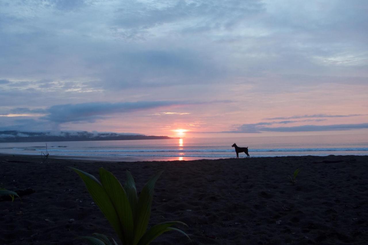 Safio. Una Casa En El Paraiso. Nuqui Bagian luar foto
